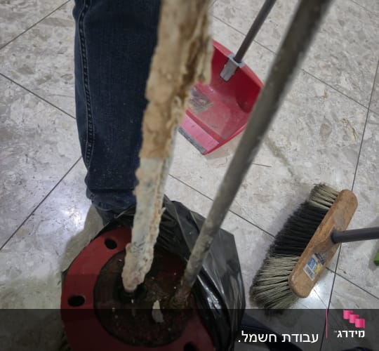 תיקון דוד